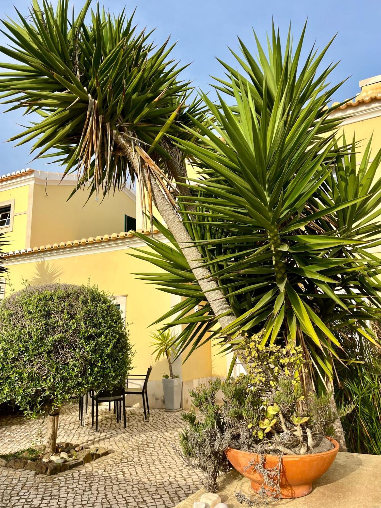 Pita'S House - Villa Sagres 2 Zewnętrze zdjęcie